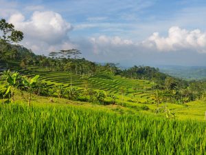 Guide de voyage sur l&rsquo;&icirc;le de Java en Indon&eacute;sie