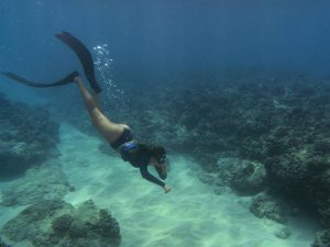 La plong&eacute;e avec les requins &agrave; Belize : tout ce que vous devez savoir avant de partir