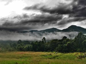 D&eacute;couvrir la r&eacute;serve Mountain Pine Ridge Forest au Belize