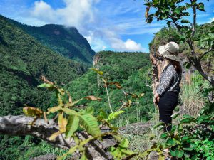 Visiter le parc national de Tanjung Puting en Indon&eacute;sie